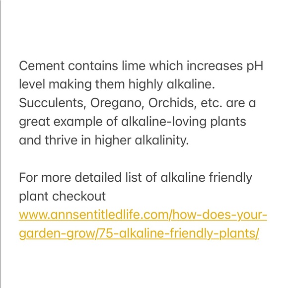 Industrial Modern handcrafted cement planter - Picture 7 of 7